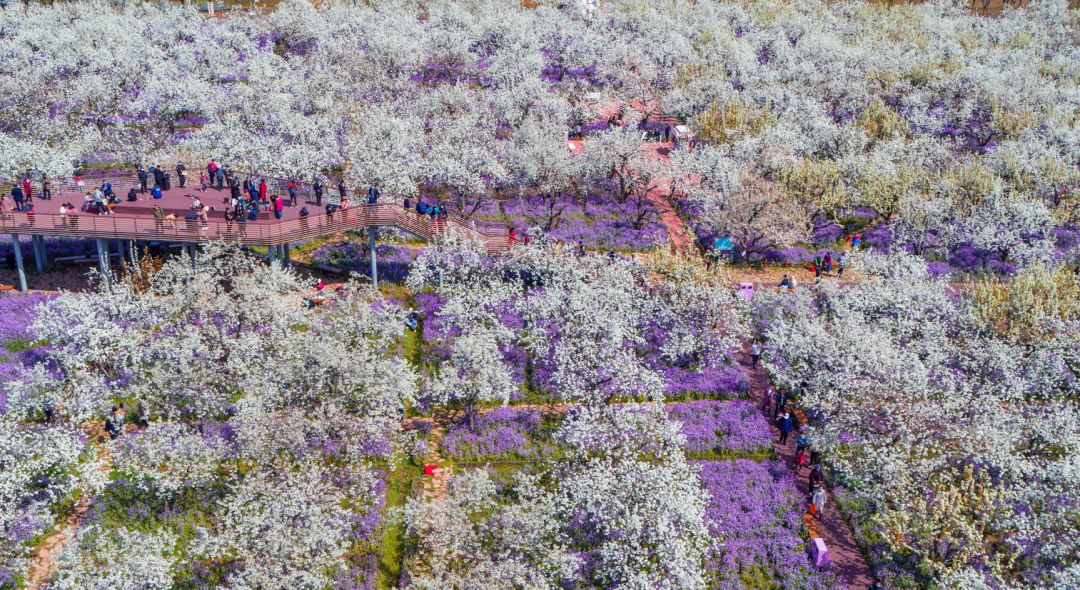 微信圖片_2026-04-09_090325_443.png